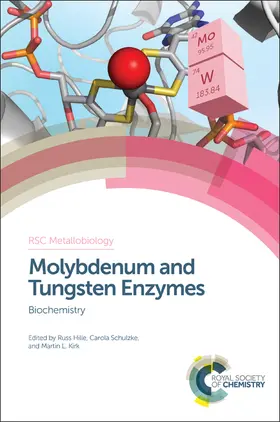 Hille / Schulzke / Kirk |  Molybdenum and Tungsten Enzymes | Buch |  Sack Fachmedien