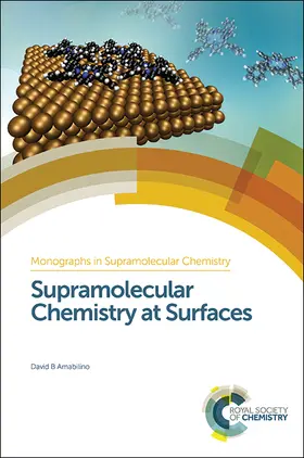 Amabilino |  Supramolecular Chemistry at Surfaces | eBook | Sack Fachmedien