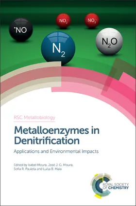 Moura / Pauleta / Maia |  Metalloenzymes in Denitrification | eBook | Sack Fachmedien