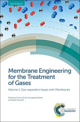 Drioli / Barbieri / Brunetti |  Membrane Engineering for the Treatment of Gases | Buch |  Sack Fachmedien