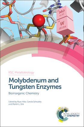 Hille / Schulzke / Kirk |  Molybdenum and Tungsten Enzymes | Buch |  Sack Fachmedien