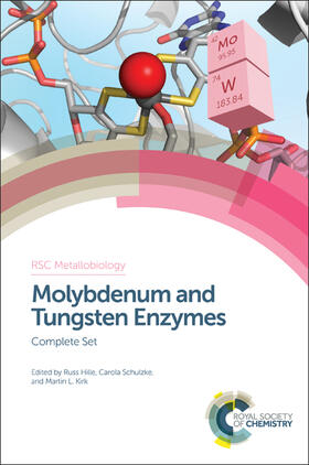 Kirk / Hille / Schulzke |  Molybdenum and Tungsten Enzymes | Buch |  Sack Fachmedien