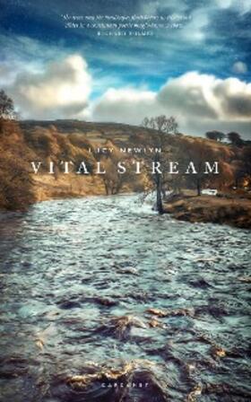 Newlyn |  Vital Stream | eBook | Sack Fachmedien