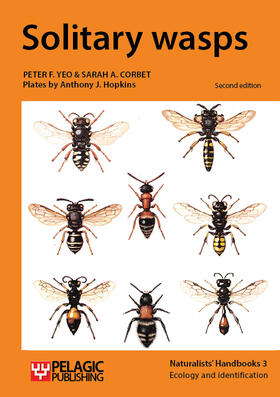 Yeo / Corbet |  Solitary wasps | Buch |  Sack Fachmedien