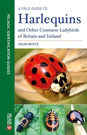 Boyce |  A Field Guide to Harlequins and Other Common Ladybirds of Britain and Ireland | Buch |  Sack Fachmedien