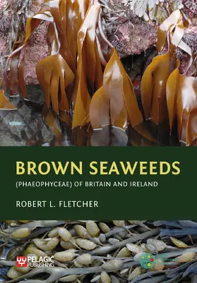 Fletcher |  Brown Seaweeds (Phaeophyceae) of Britain and Ireland | eBook | Sack Fachmedien