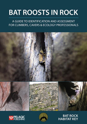 Bat Rock Habitat Key |  Bat Roosts in Rock | eBook | Sack Fachmedien