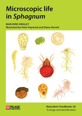 Hingley |  Microscopic life in Sphagnum | Buch |  Sack Fachmedien