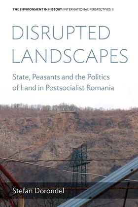 Dorondel |  Disrupted Landscapes | Buch |  Sack Fachmedien