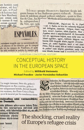 Steinmetz / Freeden / Fernández-Sebastián |  Conceptual History in the European Space | Buch |  Sack Fachmedien