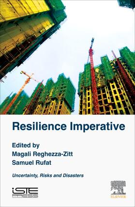 Reghezza-Zitt / Rufat |  Resilience Imperative | Buch |  Sack Fachmedien