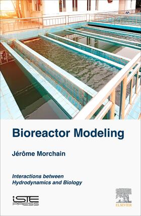 Morchain |  Bioreactor Modeling | Buch |  Sack Fachmedien