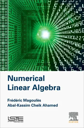 Magoules / Cheik Ahamed |  Numerical Linear Algebra | Buch |  Sack Fachmedien