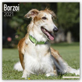 Avonside Publishing |  Borzoi 2021 Wall Calendar | Sonstiges |  Sack Fachmedien