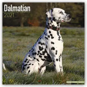 Avonside Publishing Ltd. |  Dalmatian 2021 Wall Calendar | Sonstiges |  Sack Fachmedien