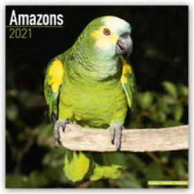 Avonside Publishing |  Amazons 2021 Wall Calendar | Sonstiges |  Sack Fachmedien