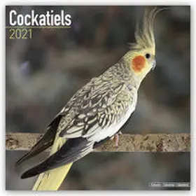 Avonside Publishing |  Cockatiels 2021 Wall Calendar | Sonstiges |  Sack Fachmedien