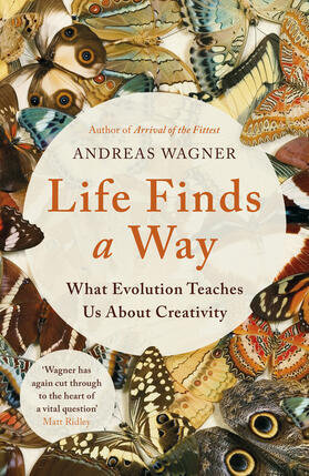 Wagner |  Life Finds a Way | Buch |  Sack Fachmedien