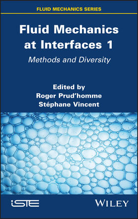 Prudhomme / Vincent |  Fluid Mechanics at Interfaces 1 | Buch |  Sack Fachmedien