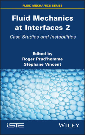 Prudhomme / Vincent |  Fluid Mechanics at Interfaces 2 | Buch |  Sack Fachmedien
