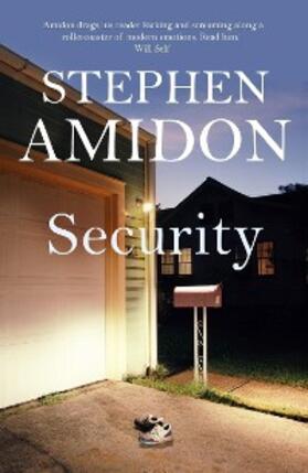 Amidon |  Security | eBook | Sack Fachmedien