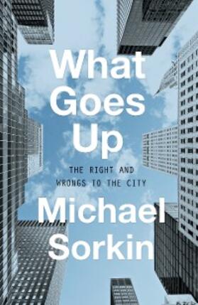 Sorkin |  What Goes Up | eBook | Sack Fachmedien