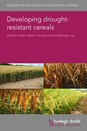 Tuberosa |  Developing drought-resistant cereals | Buch |  Sack Fachmedien