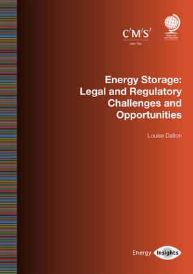 Dalton |  Energy Storage: Legal and Regulatory Challenges and Opportunities | Buch |  Sack Fachmedien