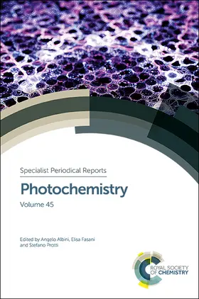 Albini / Fasani / Protti |  Photochemistry | eBook | Sack Fachmedien