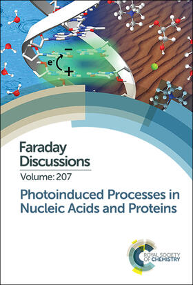  Photoinduced Processes in Nucleic Acids and Proteins | Buch |  Sack Fachmedien