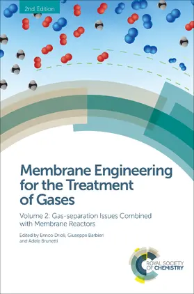 Drioli / Barbieri / Brunetti |  Membrane Engineering for the Treatment of Gases | eBook | Sack Fachmedien