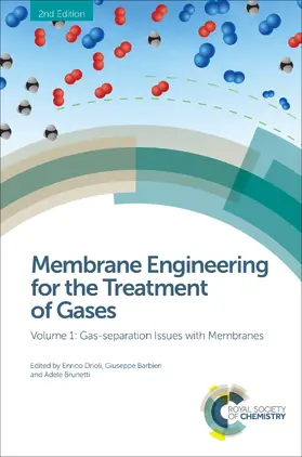 Drioli / Barbieri / Brunetti |  Membrane Engineering for the Treatment of Gases | eBook | Sack Fachmedien