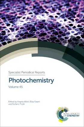 Albini / Fasani / Protti |  Photochemistry | eBook | Sack Fachmedien