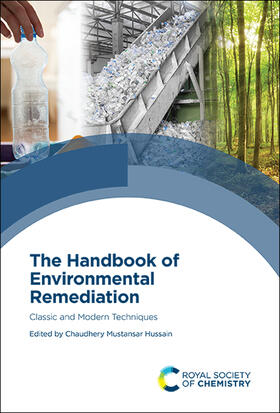 Hussain |  The Handbook of Environmental Remediation | Buch |  Sack Fachmedien