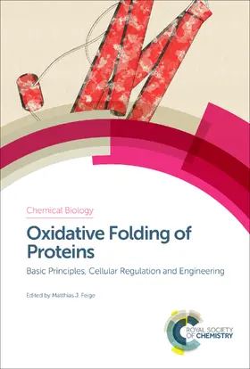 Feige |  Oxidative Folding of Proteins | eBook | Sack Fachmedien