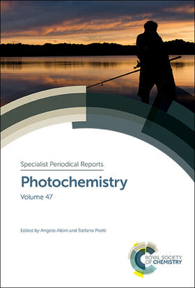 Albini / Protti |  Photochemistry: Volume 47 | Buch |  Sack Fachmedien