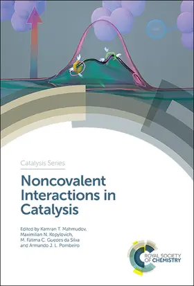 Mahmudov / Kopylovich / Guedes da Silva |  Noncovalent Interactions in Catalysis | eBook | Sack Fachmedien