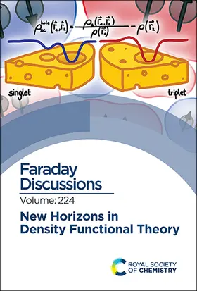  New Horizons in Density Functional Theory | Buch |  Sack Fachmedien