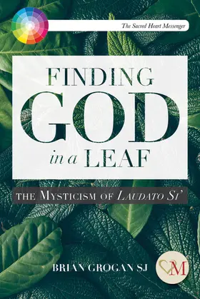 Grogan |  Finding God in a Leaf | Buch |  Sack Fachmedien