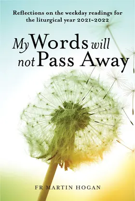 Hogan |  My Words Will Not Pass Away | Buch |  Sack Fachmedien