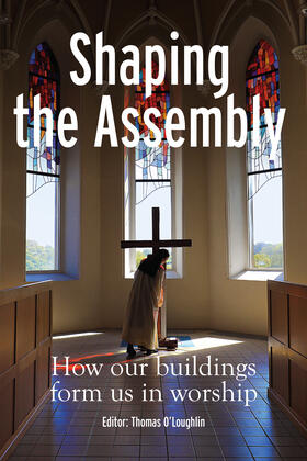 O'Loughlin |  Shaping the Assembly | Buch |  Sack Fachmedien