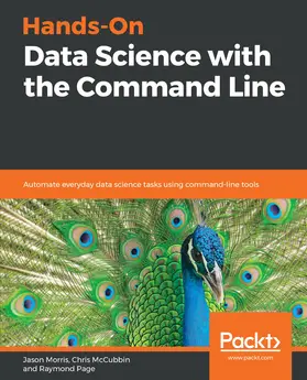 Morris / McCubbin / Page |  Hands-On Data Science with the Command Line | eBook | Sack Fachmedien