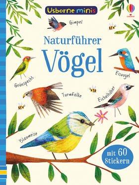 Robson / Smith |  Usborne Minis - Naturführer: Vögel | Buch |  Sack Fachmedien