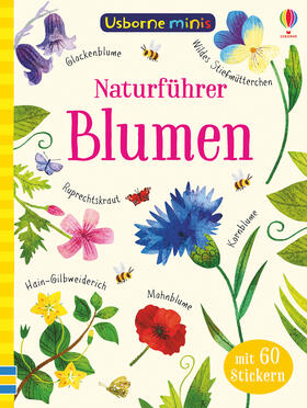 Robson / Smith |  Usborne Minis - Naturführer: Blumen | Buch |  Sack Fachmedien