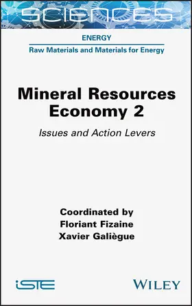 Fizaine / Galiegue |  Mineral Resource Economy 2 | Buch |  Sack Fachmedien