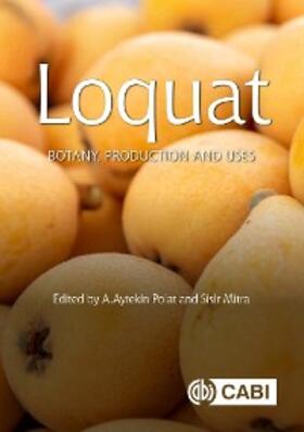 Polat / Mitra |  Loquat | eBook | Sack Fachmedien