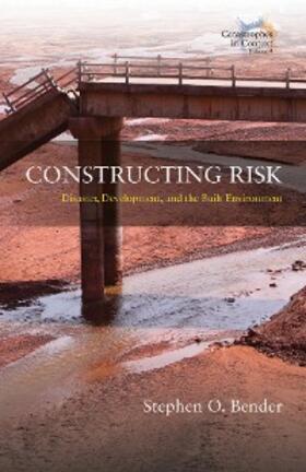 Bender |  Constructing Risk | eBook | Sack Fachmedien