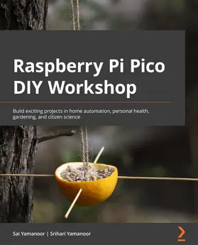 Yamanoor |  Raspberry Pi Pico DIY Workshop | eBook | Sack Fachmedien