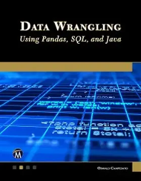 Information / Campesato |  Data Wrangling Using Pandas, SQL, and Java | eBook | Sack Fachmedien