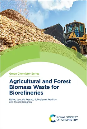 Prasad / Pradhan / Kaparaju |  Agricultural and Forest Biomass Waste for Biorefineries | Buch |  Sack Fachmedien